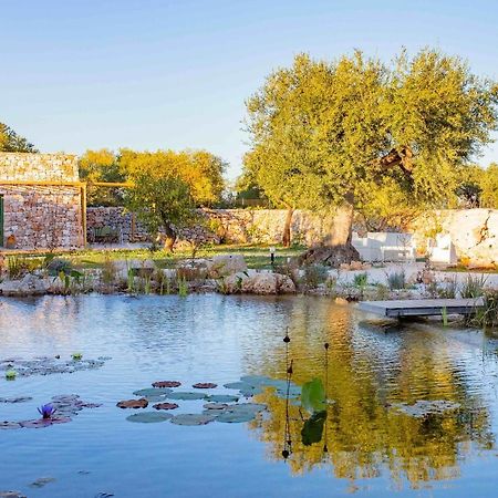 Il Fiore Della Vita Trulli Country House 孔韦尔萨诺 外观 照片