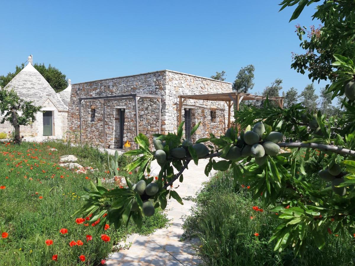Il Fiore Della Vita Trulli Country House 孔韦尔萨诺 外观 照片