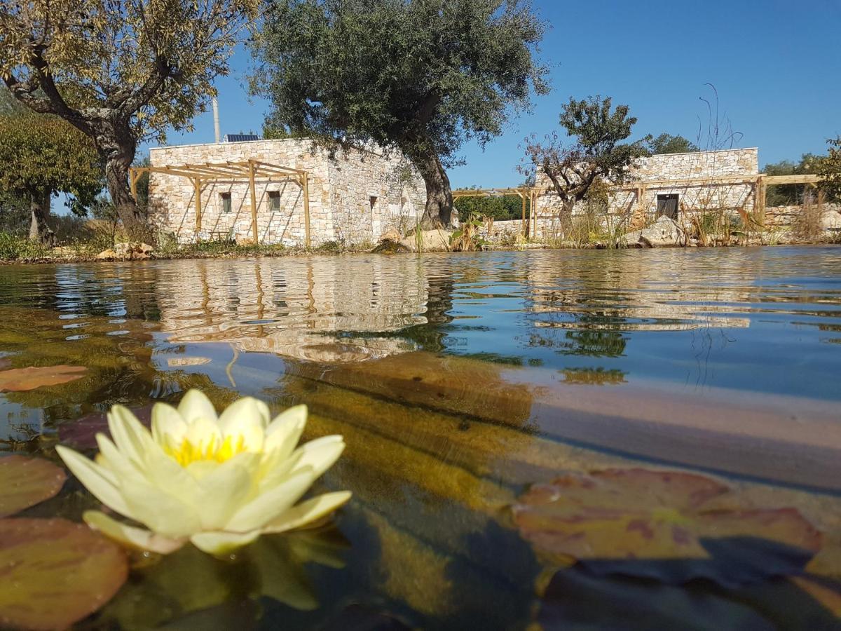 Il Fiore Della Vita Trulli Country House 孔韦尔萨诺 外观 照片