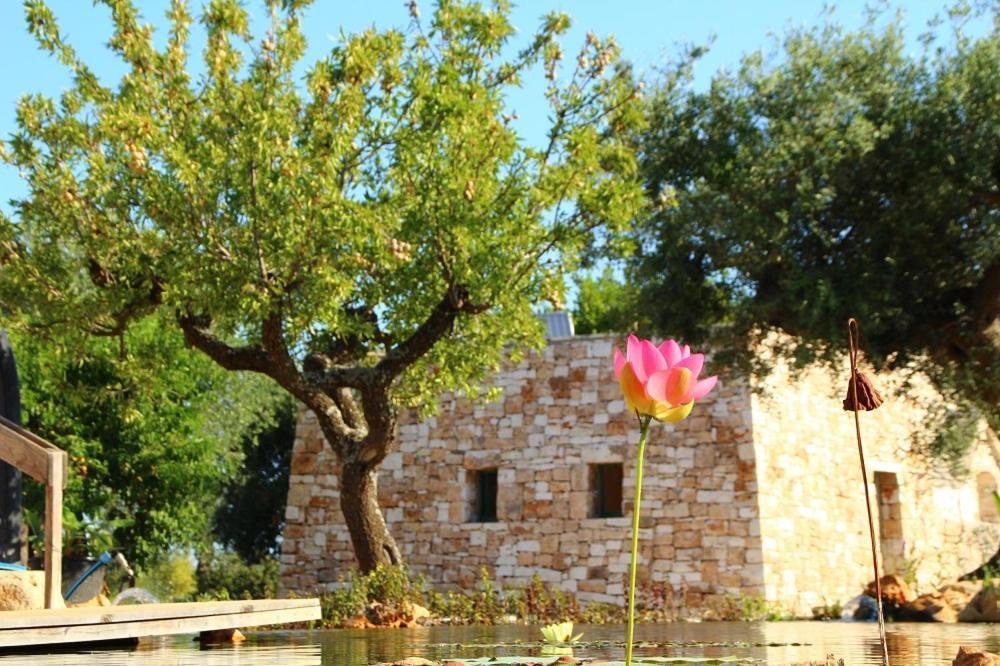 Il Fiore Della Vita Trulli Country House 孔韦尔萨诺 外观 照片